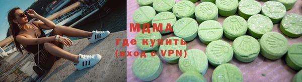 гашик Алексин