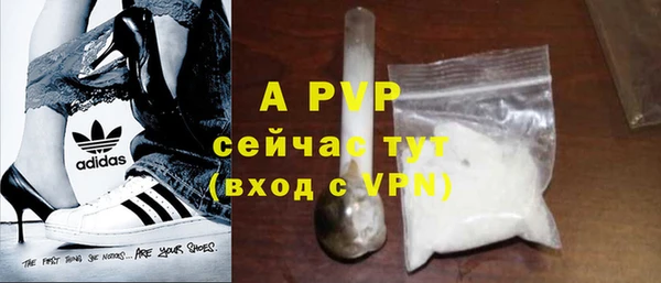 гашик Алексин