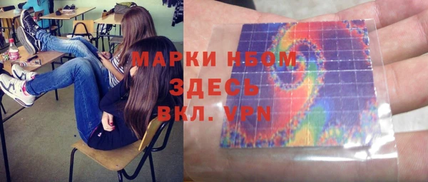 гашик Алексин