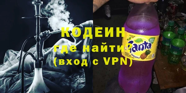 гашик Алексин